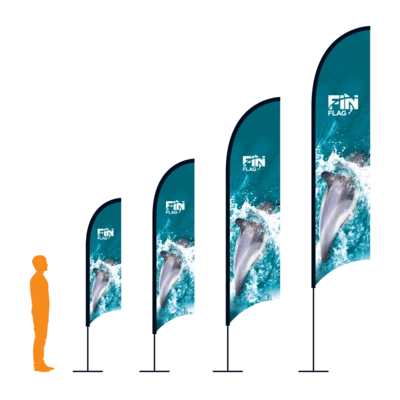 fin_01